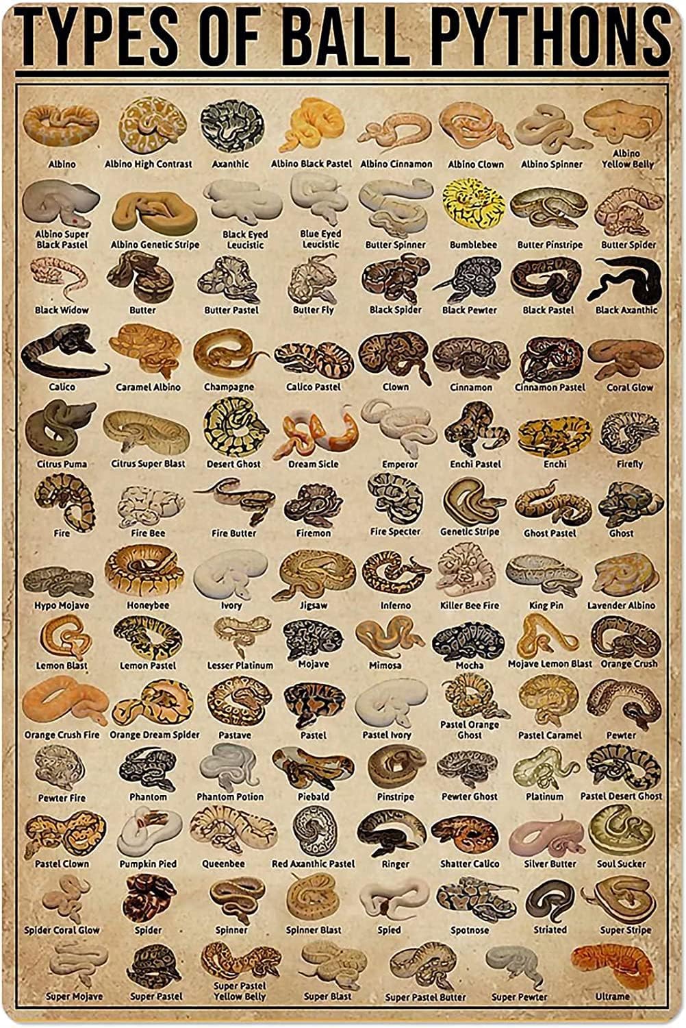 Outdoor Power Bar - Retro Metal Tin Sign Types of